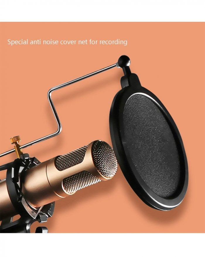1529914464 Remax Ck100 Mobile Recording Studio With Microphone Holder