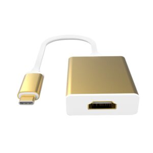 Type C 3.1 To HDMI Converter Home