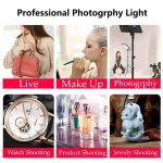 best lighting for photography