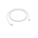 USB C To Lightning Cable A1703